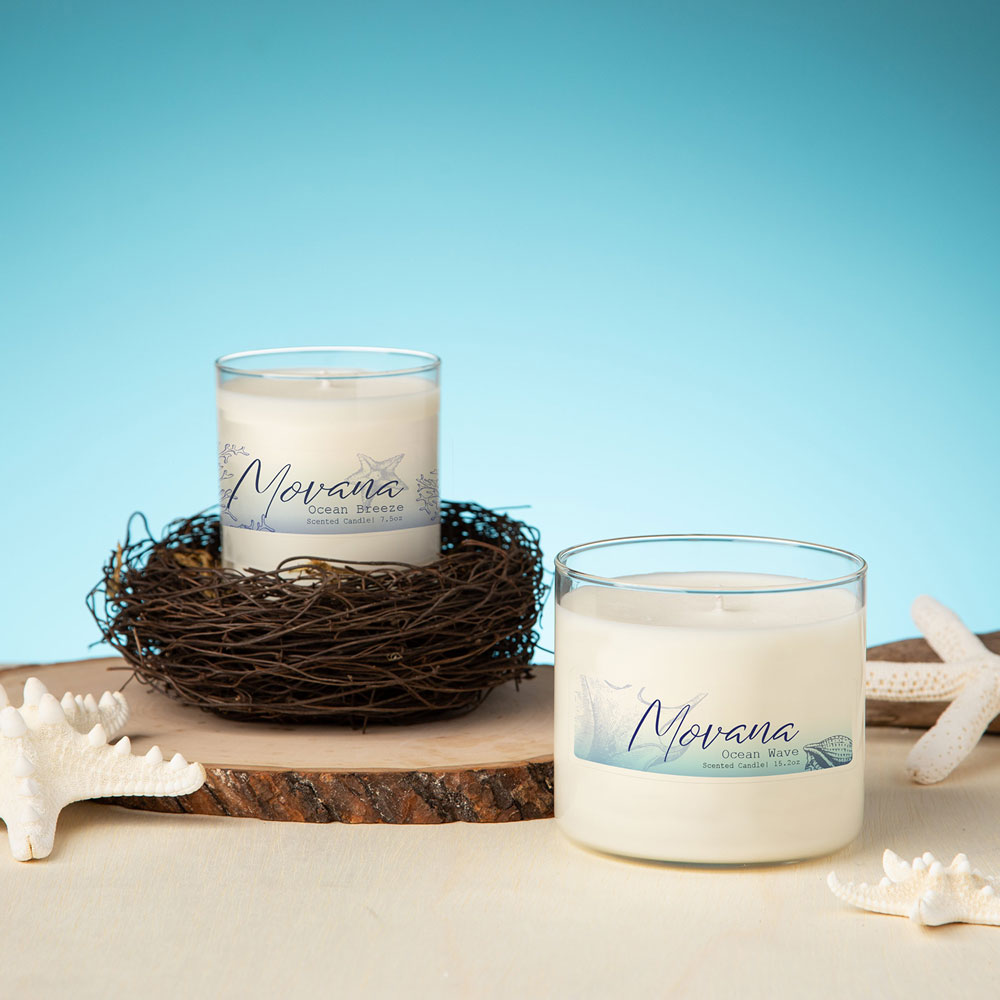 ETIQUETAS IMPRIMIBLES TRANSPARENTES 3.4 x 10.2 CM - 350 Unds - Imagen 3